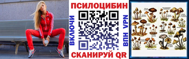 Псилоцибиновые грибы Cubensis  Назрань 
