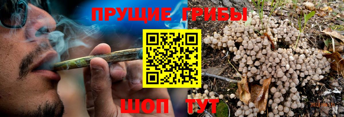 Псилоцибиновые грибы ЛСД  Псилоцибиновые грибы Psilocybe  Вход с VPN  Назрань 